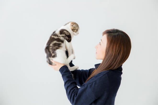 女性に持ち上げられる猫